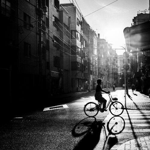 MUSE Photography Awards Gold Winner - Sunset Ride by Kenichiro Tsukada