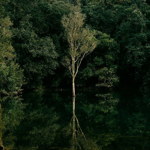 MUSE Photography Awards Silver Winner - Staunch by Chan Hoi Tat