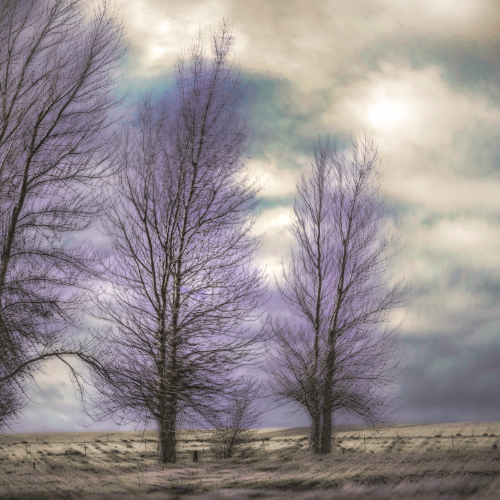 MUSE Photography Awards Silver Winner - Ternary by Kylo-Patrick Hart
