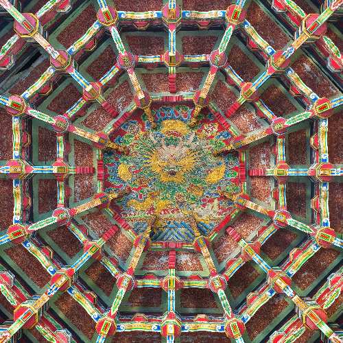 MUSE Photography Awards Gold Winner - Spider Web Ceiling by Robert Tsai