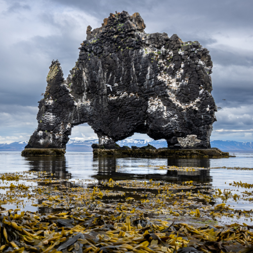 MUSE Photography Awards Gold Winner - The Dragon of the North by Jennifer Batey