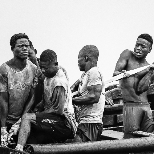 MUSE Photography Awards Platinum Winner - Taming Giants by João Coelho