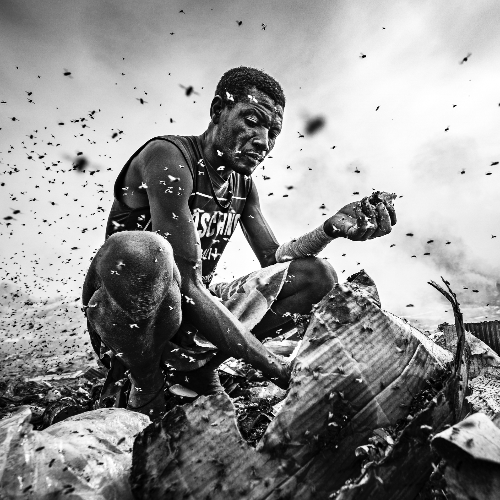 MUSE Photography Awards Platinum Winner - The Kingdom of Flies by João Coelho