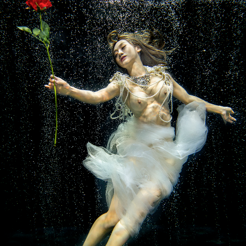 Tango in the water - Photography Winner