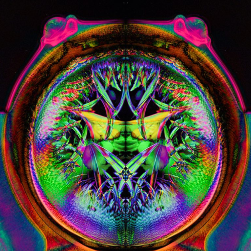 MUSE Photography Awards Silver Winner - Mirror Law: (UN)seen Beauty of Transformation by Karolina Kaszewicz
