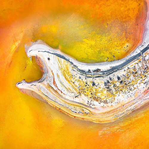 MUSE Photography Awards Gold Winner - The Eel by Anne Neiwand Photography