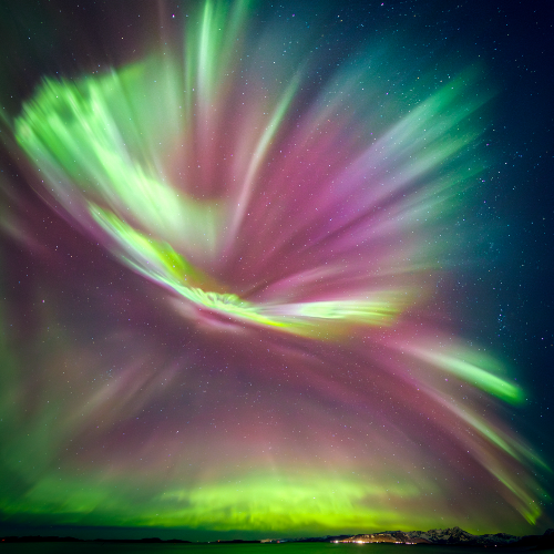 MUSE Photography Awards Platinum Winner - Celestial Flames by Shirley Wung