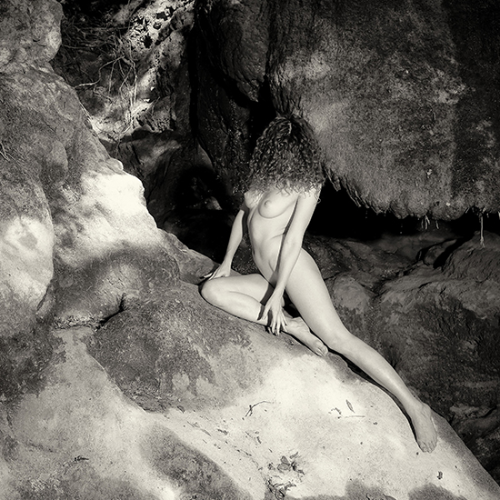 Award-winning photograph Where nature meets beauty by Eric Brunelle, 2026 MUSE Photography Awards Gold Winner