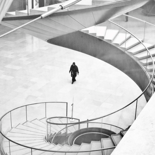 Award-winning photograph Stilness in Motion by Franck Prevot, 2026 MUSE Photography Awards Gold Winner