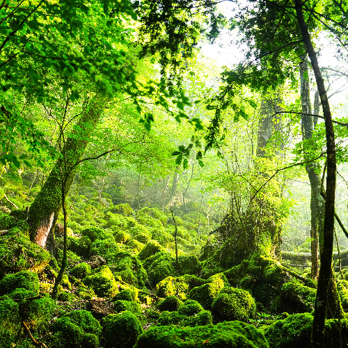 The moment the mountain awakens