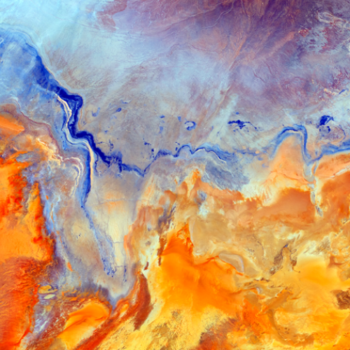 2026 MUSE Photography Winner - Marble by Mark Gray