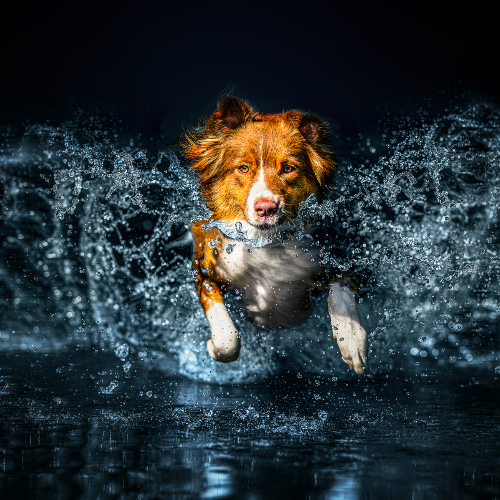 2026 MUSE Photography Winner - In the Heart of Splash by Lucie Nermutova