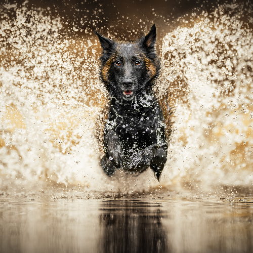 2026 MUSE Photography Winner - Titan Mode Activated by Lucie Nermutova