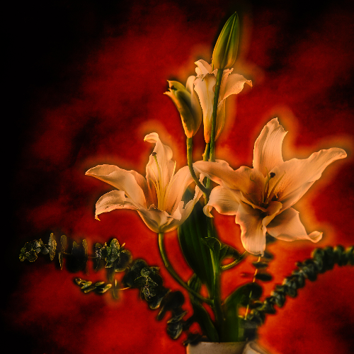 Blossoms in the Red Silence