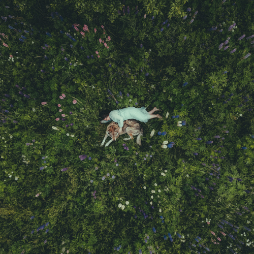 2026 MUSE Photography Winner - Lupus valley by Lia Paugsch