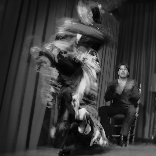 2026 MUSE Photography Winner - Rosa dancing flamenco by Pawel Opalinski