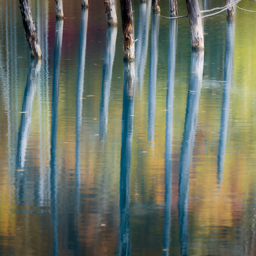 Intermingling Autumn Hues