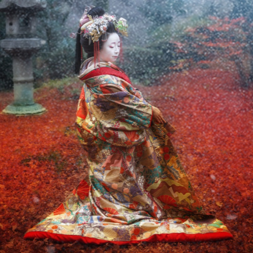 Award-winning photograph Autumn at Joshoji by Robin Yong, 2026 MUSE Photography Awards Silver Winner