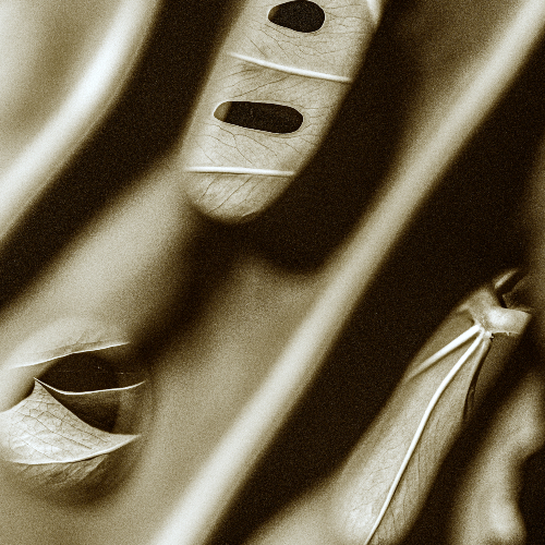 Award-winning photograph Chlorophyll Trance (Pantaptych) by Marcel van Beek, 2026 MUSE Photography Awards Gold Winner