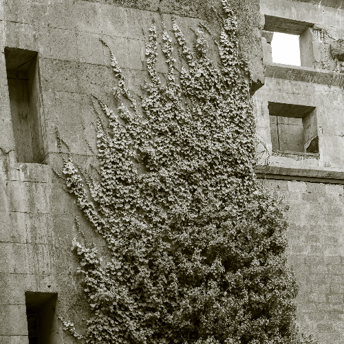 Award-winning photograph Storytelling Walls: From Ruin to Rebirth by Marcel van Beek, 2026 MUSE Photography Awards Silver Winner