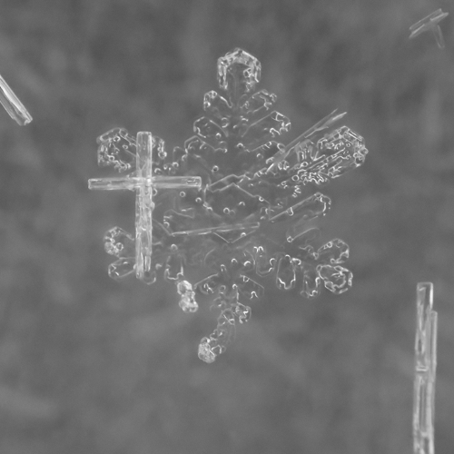 Award-winning photograph Cross and Snowflake by Melissa N. Robertson, 2026 MUSE Photography Awards Silver Winner