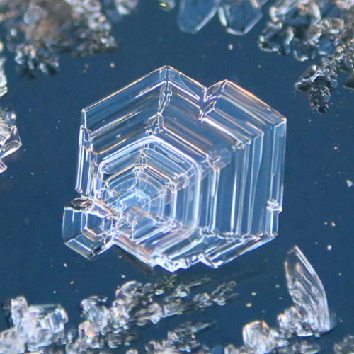 2026 MUSE Photography Winner - Birthday's Surprise Frost by Melissa N. Robertson