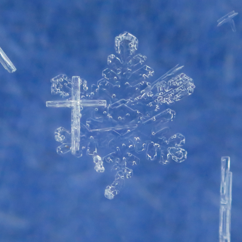 2026 MUSE Photography Winner - Cross and Snowflake by Melissa N. Robertson