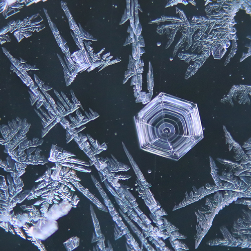 2026 MUSE Photography Winner - Frosty Trails by Melissa N. Robertson