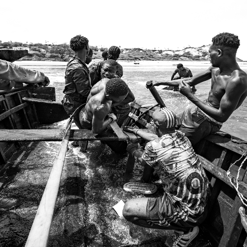 2026 MUSE Photography Winner - One for all, all for one by João Coelho