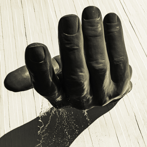 Award-winning photograph Contribute  by Vera regina bandeira, 2026 MUSE Photography Awards Gold Winner