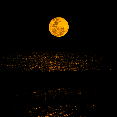 2026 MUSE Photography Winner - REFLEXO by Vera regina bandeira