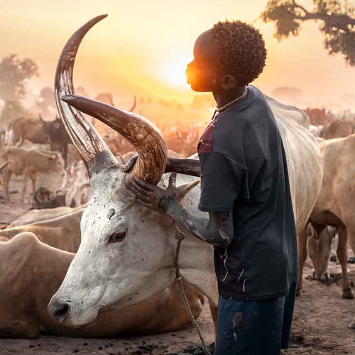 2026 MUSE Photography Winner - Vanishing Worlds by Roberto Pazzi