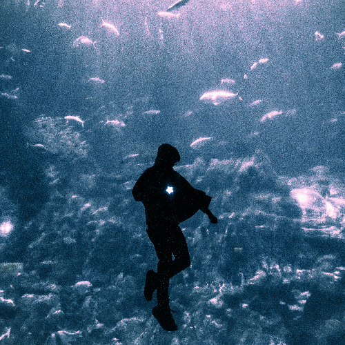 Award-winning photograph Ocean by Fury, 2026 MUSE Photography Awards Gold Winner