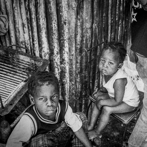 Award-winning photograph The longing for tulips by Philipp Schmieja, 2026 MUSE Photography Awards Gold Winner