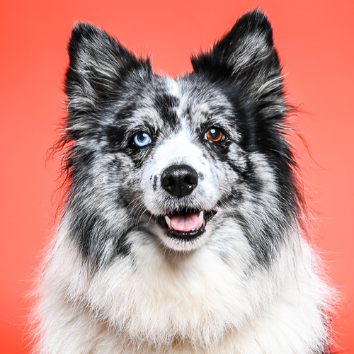 Award-winning photograph Lu by martyn norsworthy, 2026 MUSE Photography Awards Silver Winner