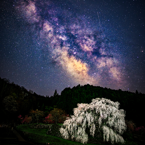 Award-winning photograph Guardian of the Night Sky by Shirley Wung, 2026 MUSE Photography Awards Gold Winner