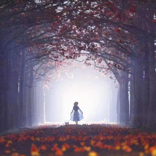 Award-winning photograph The Light Chaser by Shirley Wung, 2026 MUSE Photography Awards Gold Winner