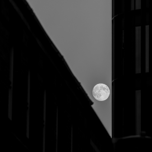 Award-winning photograph The Moon in the Urban Rift by SHIH HUNG YANG, 2026 MUSE Photography Awards Gold Winner