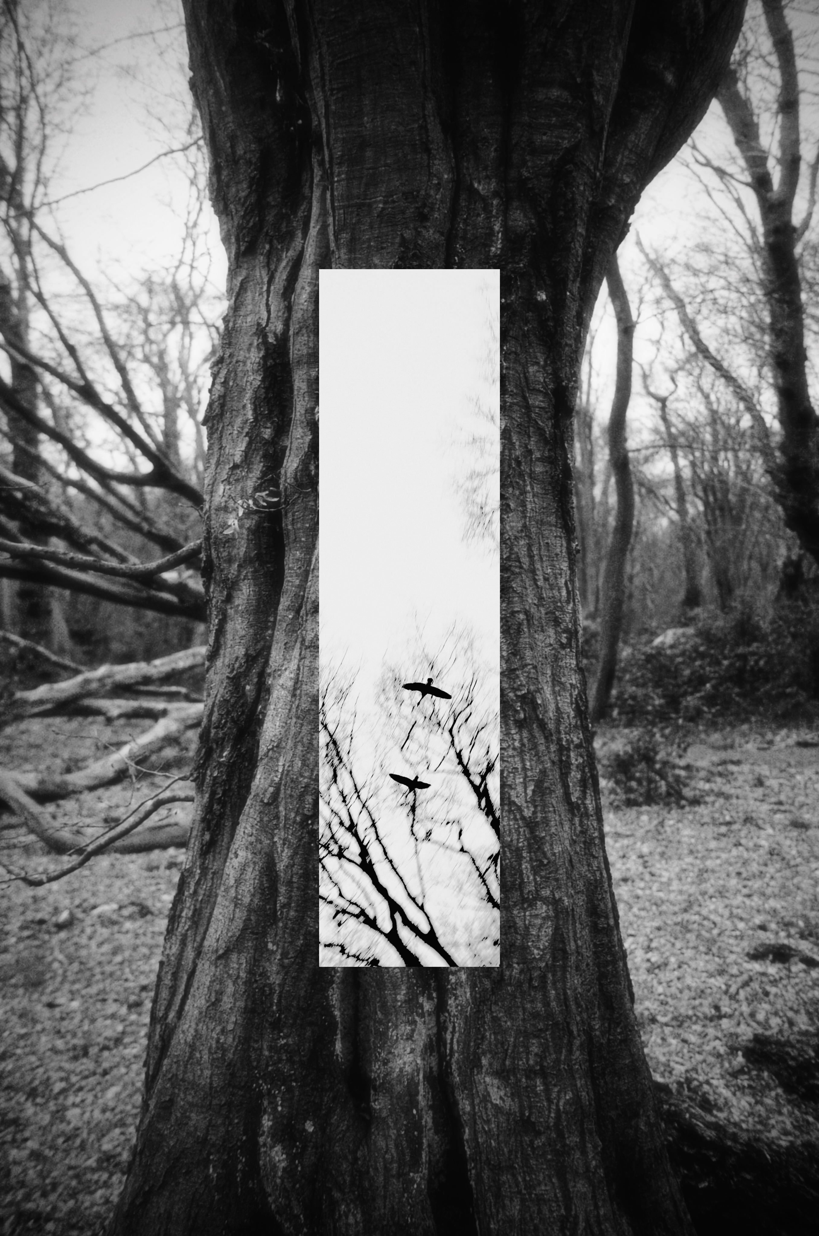 MUSE Photography Winner's Profile - Heldon lee